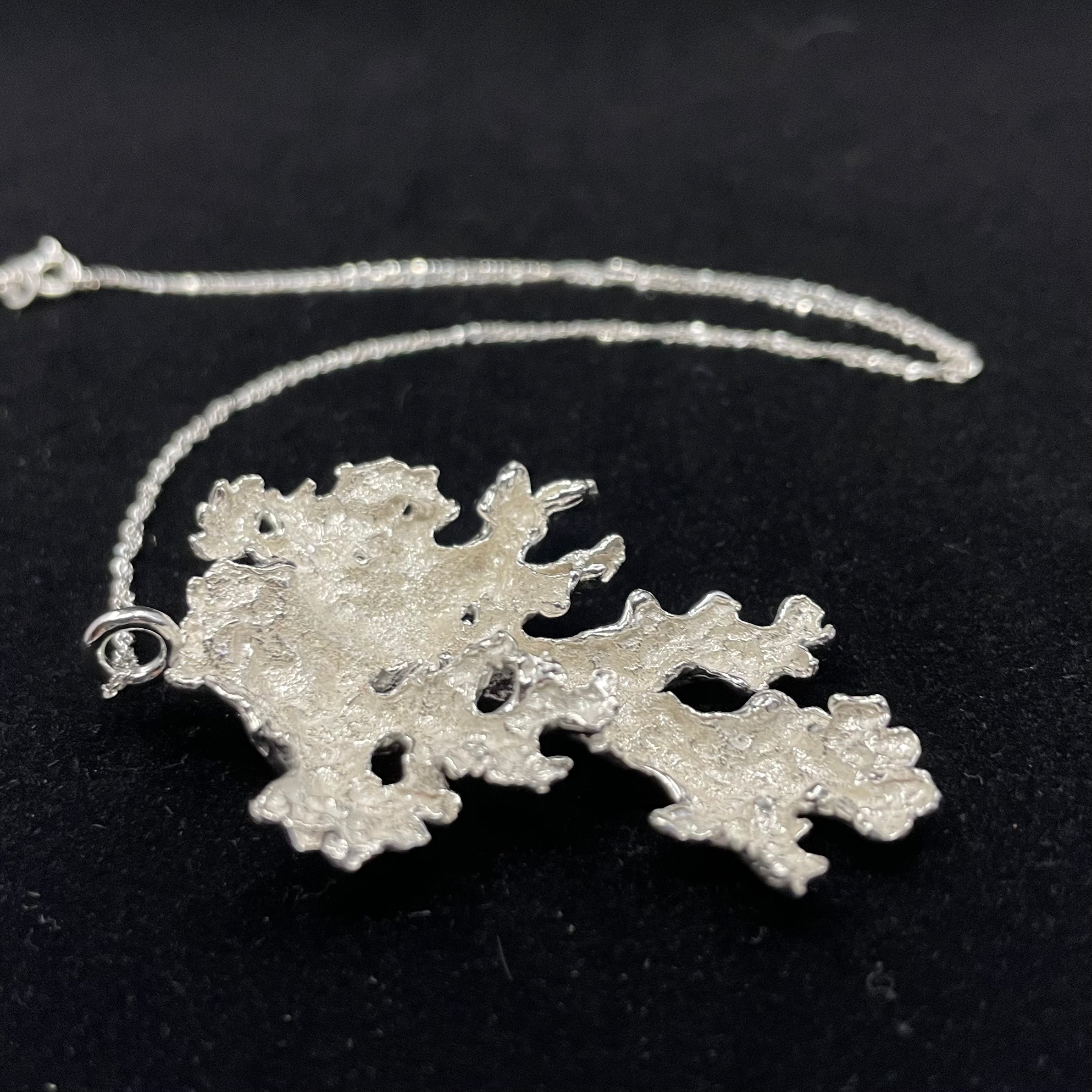 Foliose wind fallen Lichen pendant