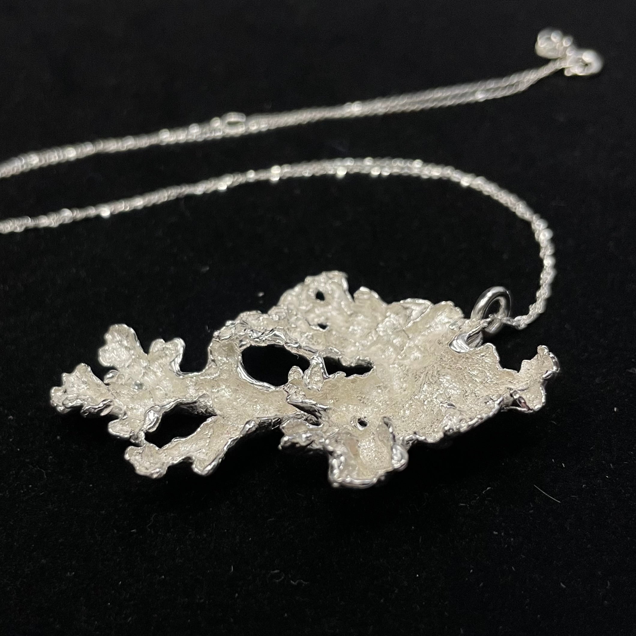 Foliose wind fallen Lichen pendant