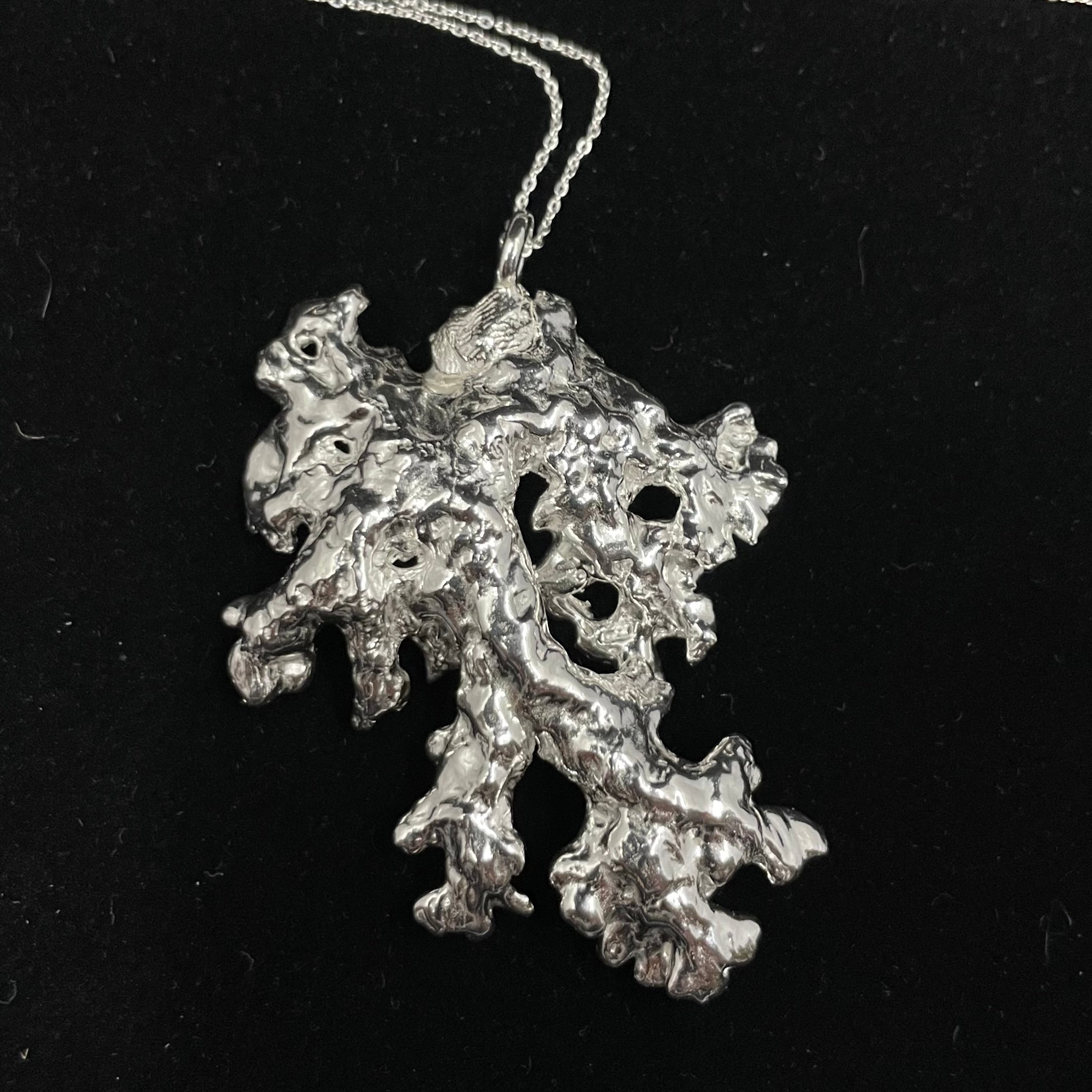Foliose wind fallen Lichen pendant