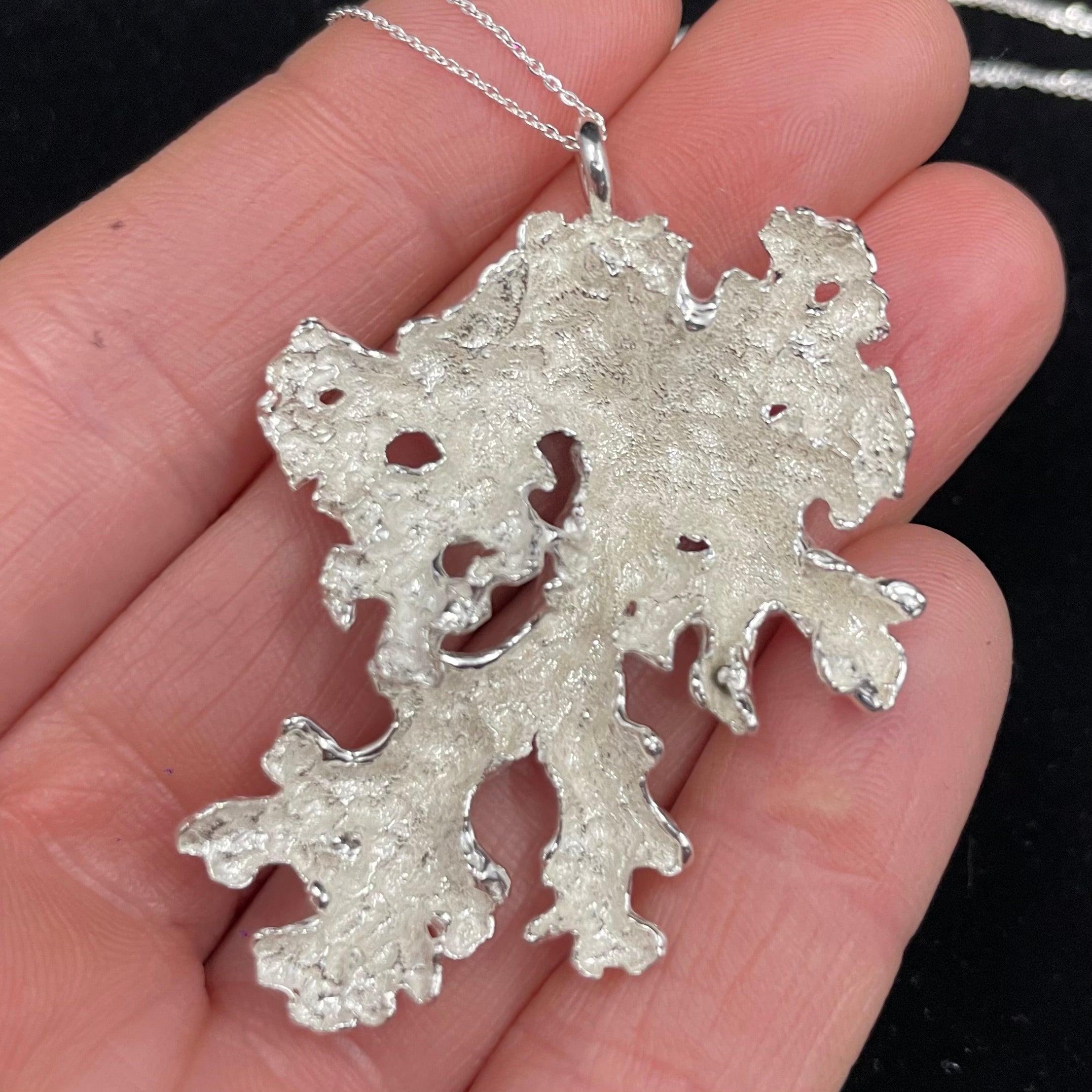 Foliose wind fallen Lichen pendant