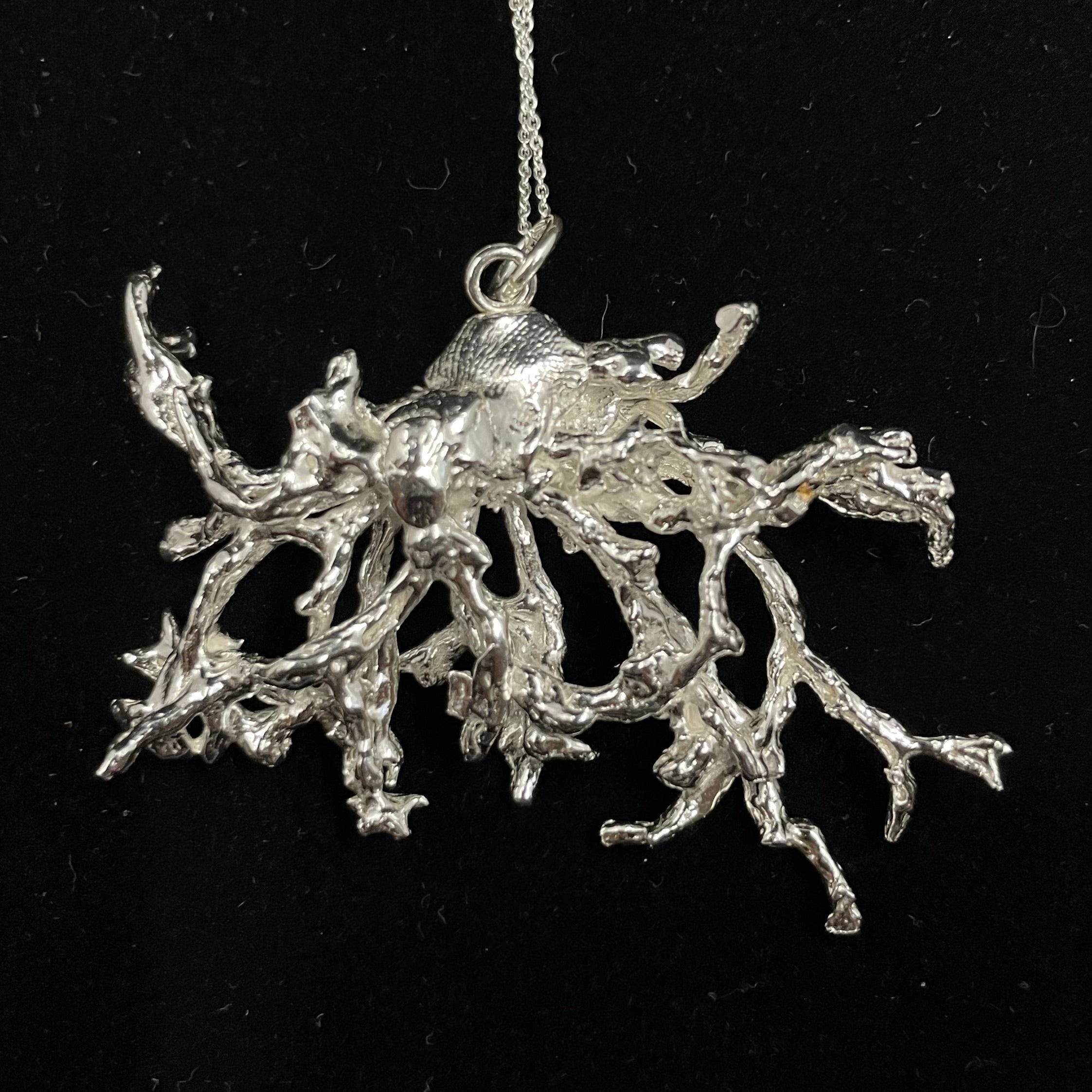 Fruticose Lichen pendant with sterling silver chain