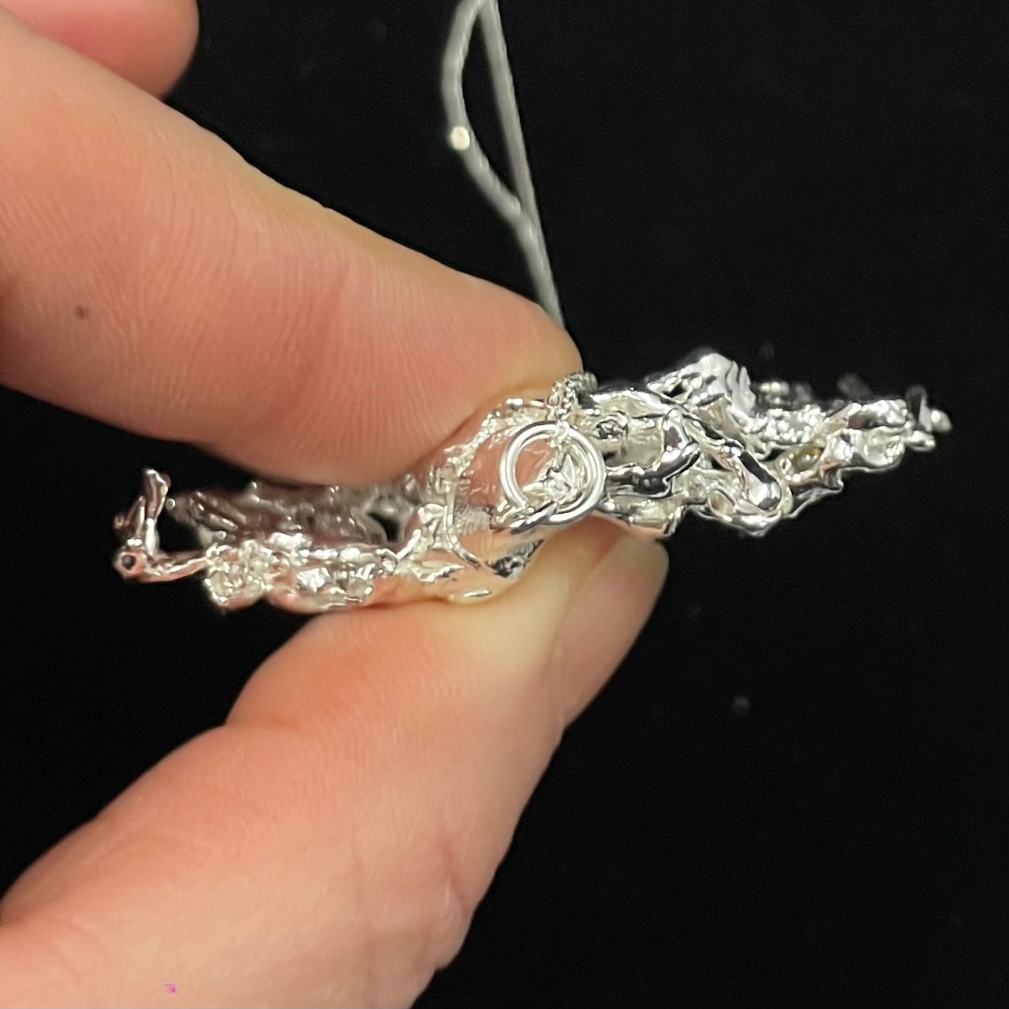 Fruticose Lichen pendant with sterling silver chain