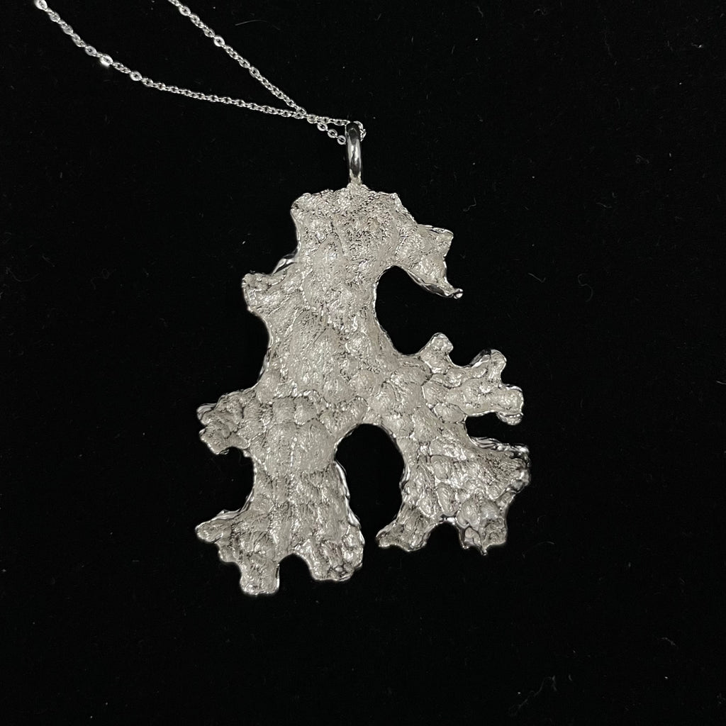 Foliose Lichen pendant