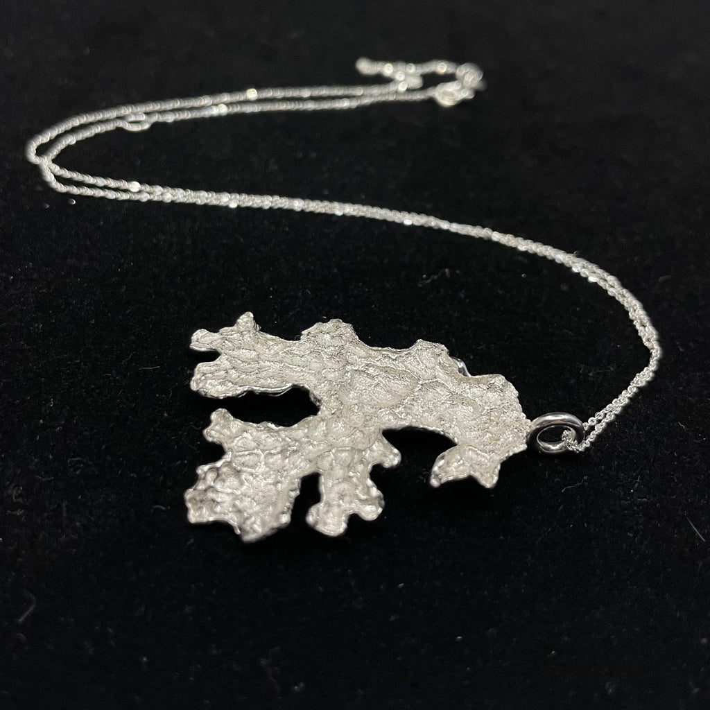 Foliose Lichen pendant