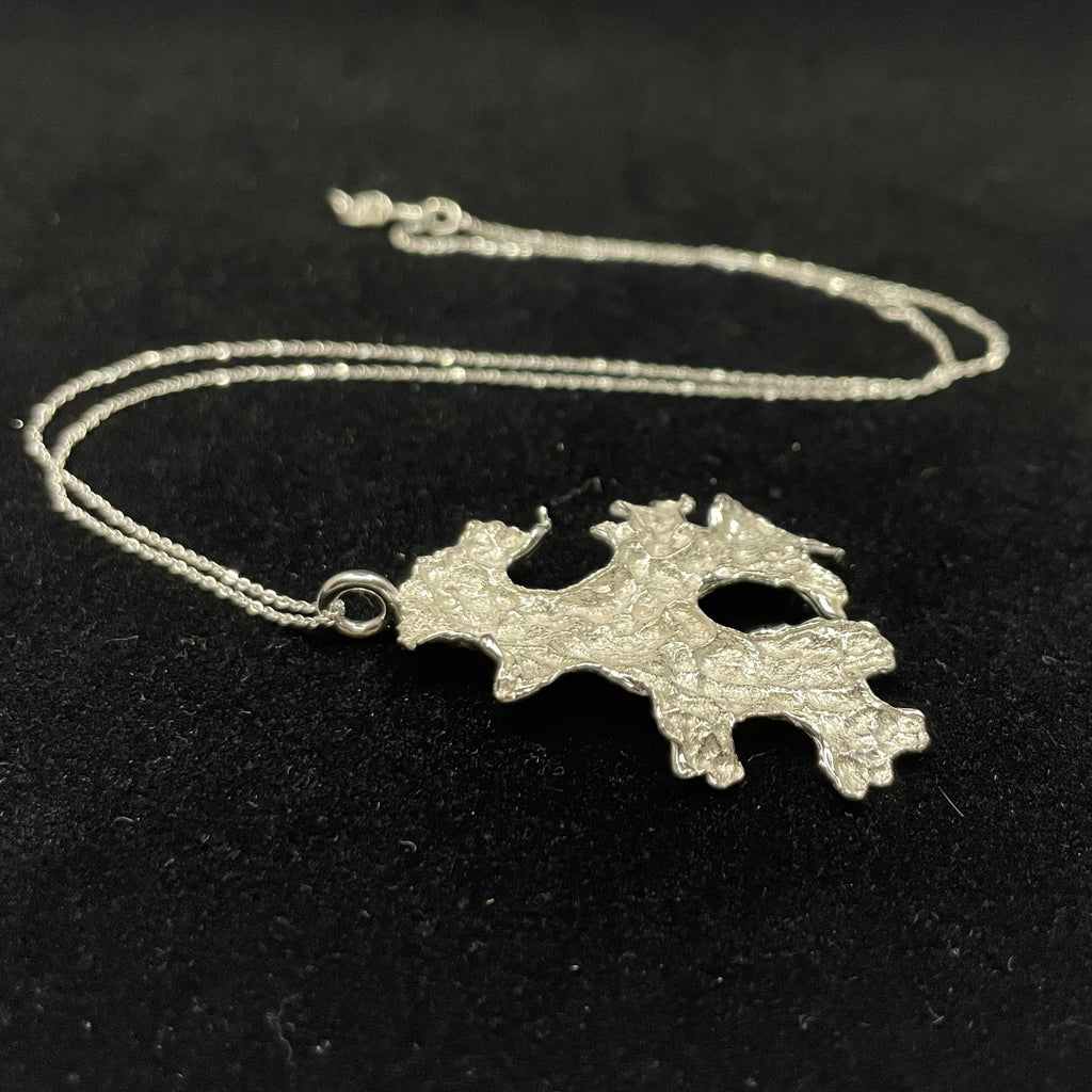 Foliose Lichen pendant
