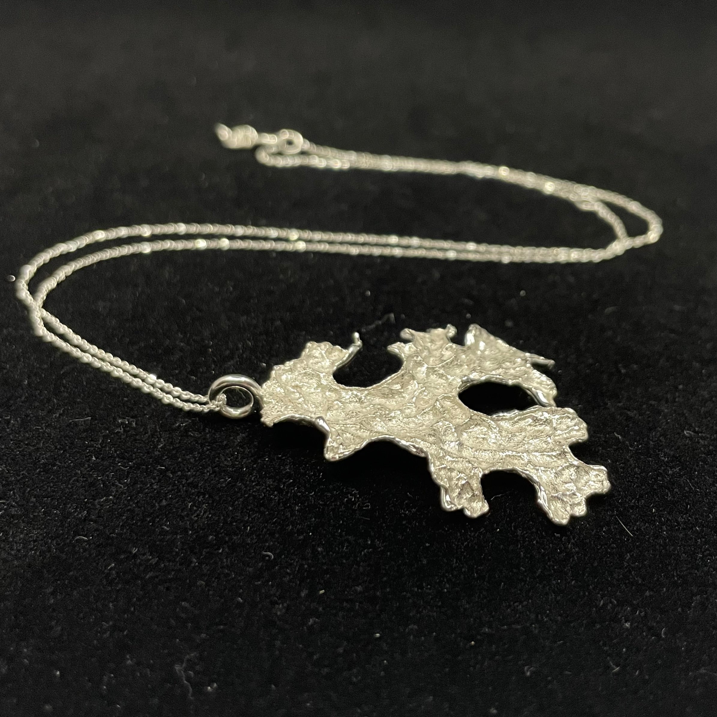 Foliose Lichen pendant