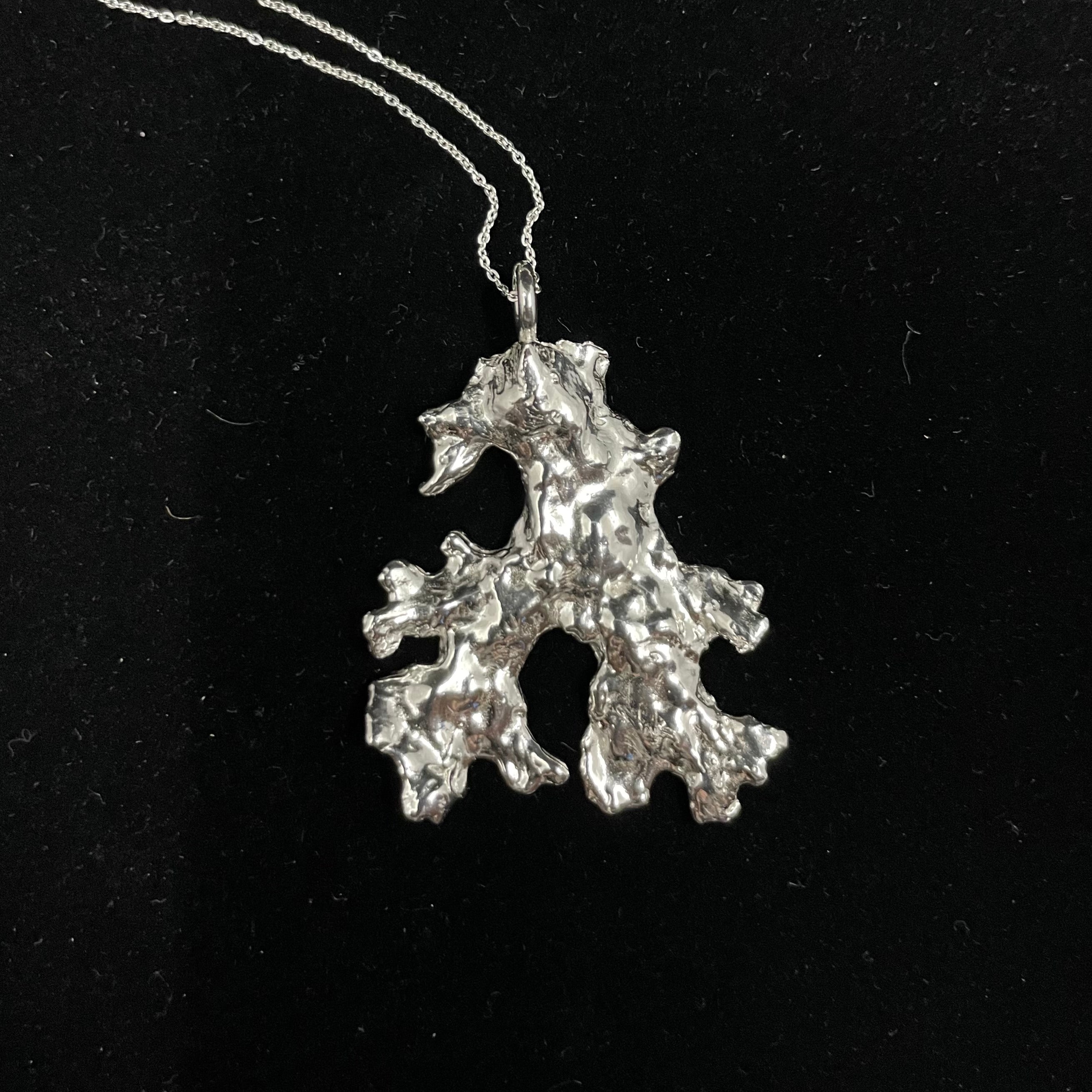 Foliose Lichen pendant