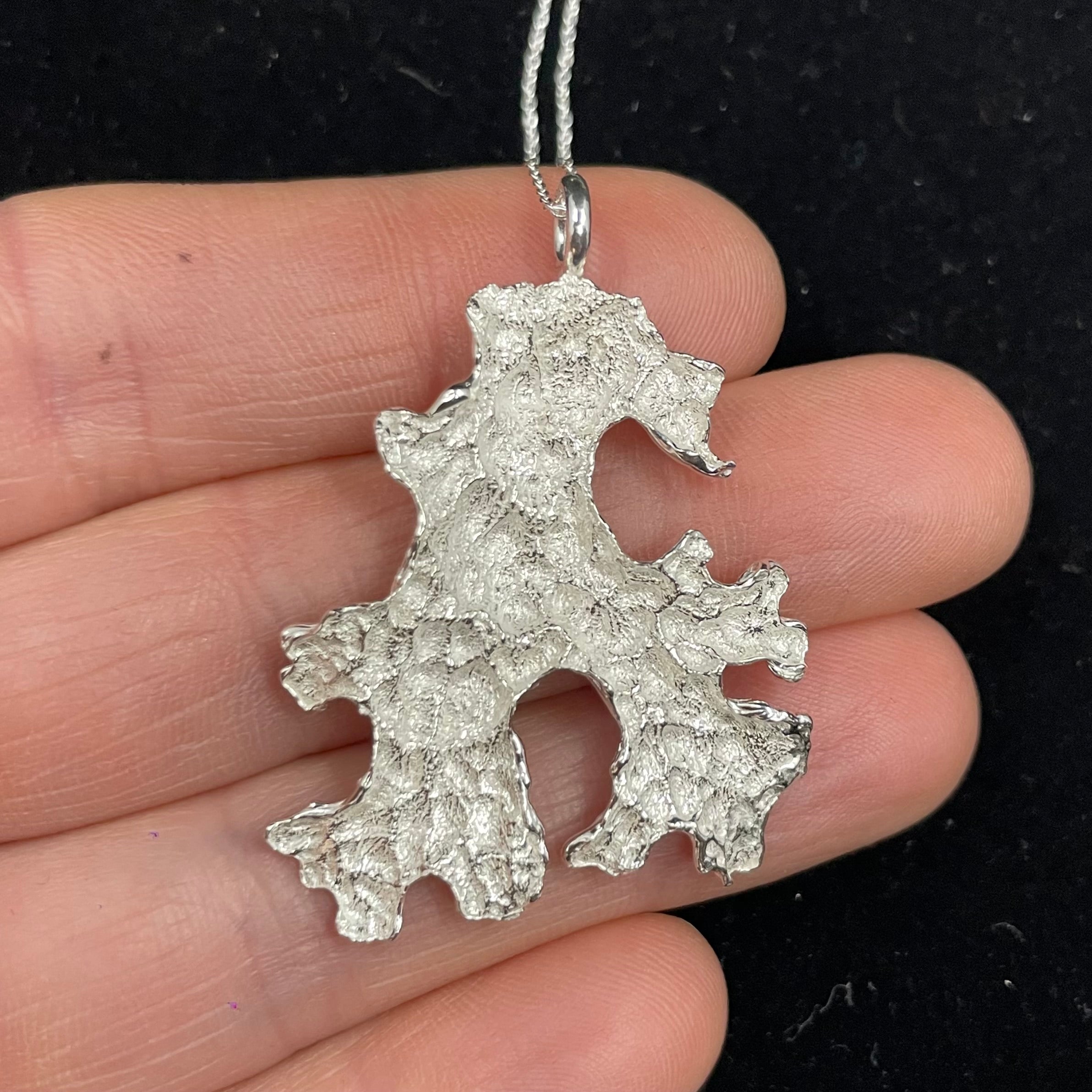 Foliose Lichen pendant